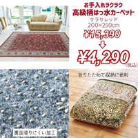 画像3081