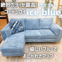 画像3161