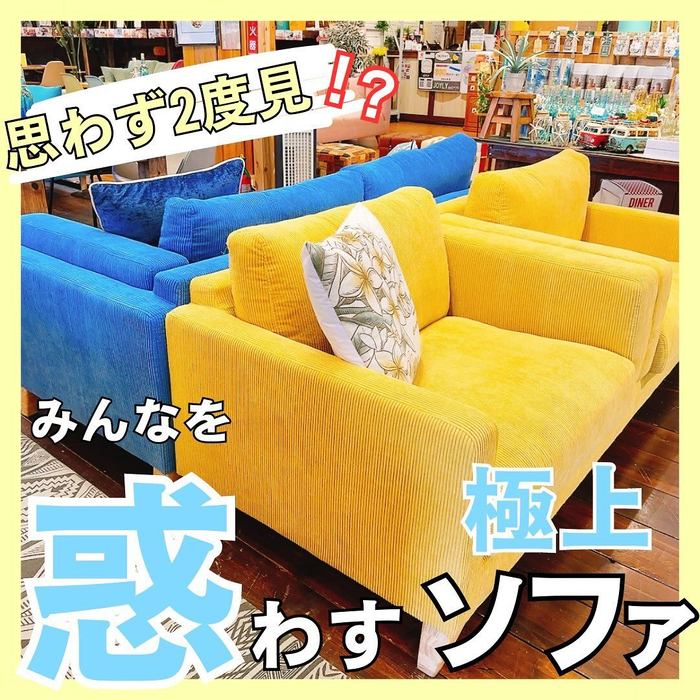 画像3165