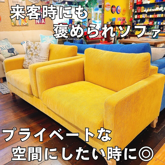 画像3167