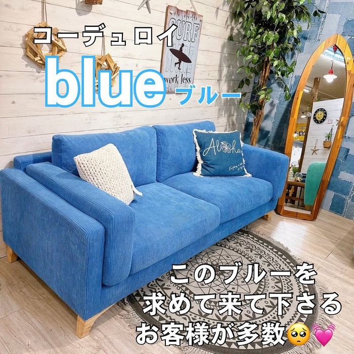 画像3169