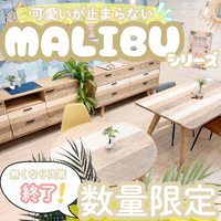 画像3293