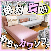 画像3455