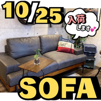画像3487