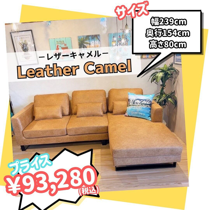 画像3496