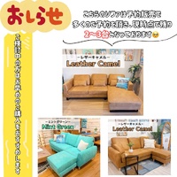 画像3497