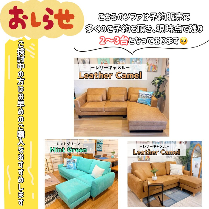 画像3497
