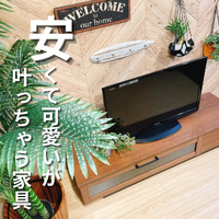 画像3659