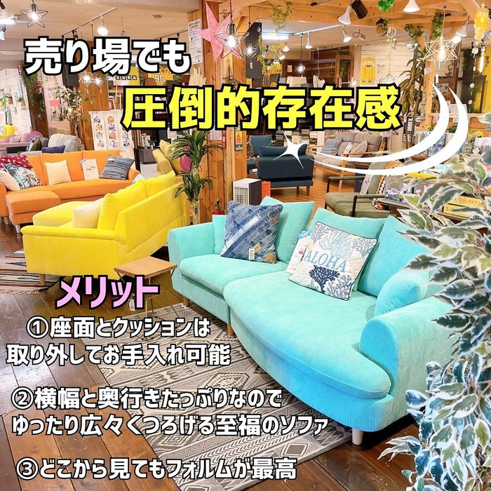 画像3842