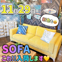 画像3868