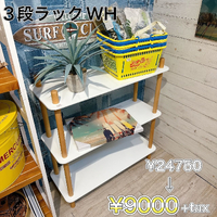 画像3946