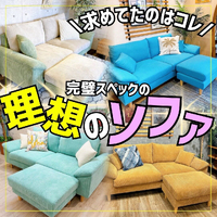 画像3973