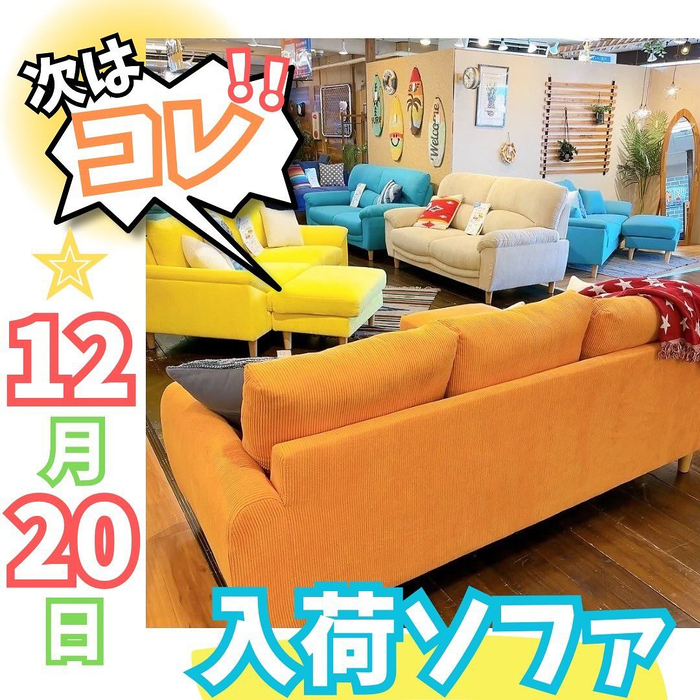 画像4047