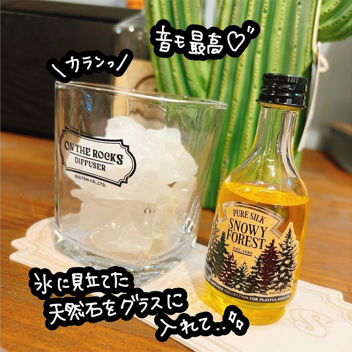 画像4082