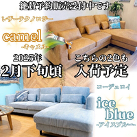 画像4108