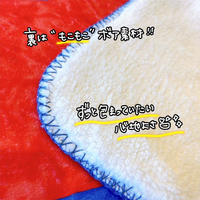 画像4309