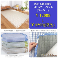 画像4355