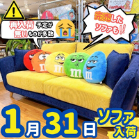 画像4370