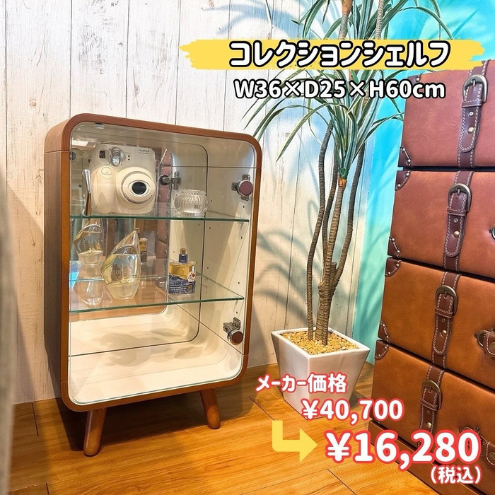 画像4503
