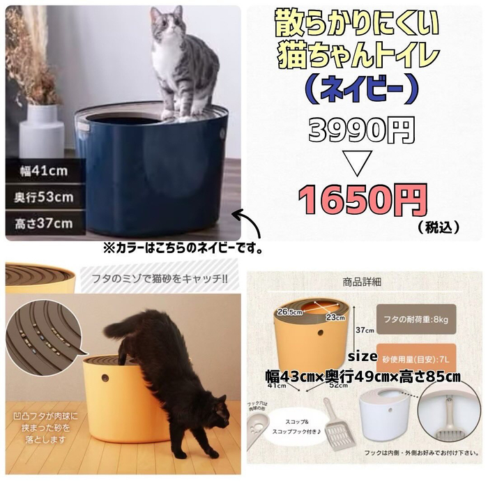 画像4528