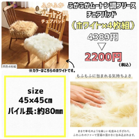 画像4529