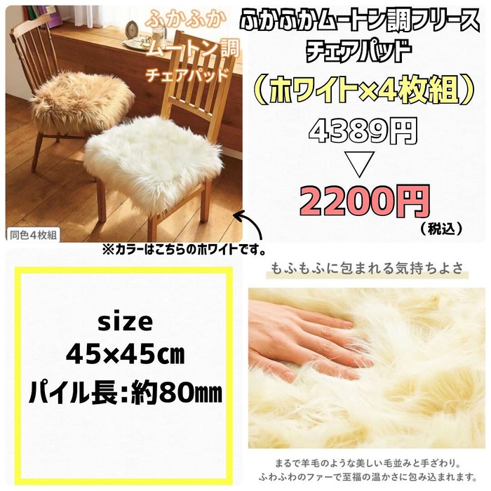 画像4529