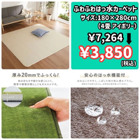 画像4530