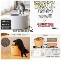 画像4606