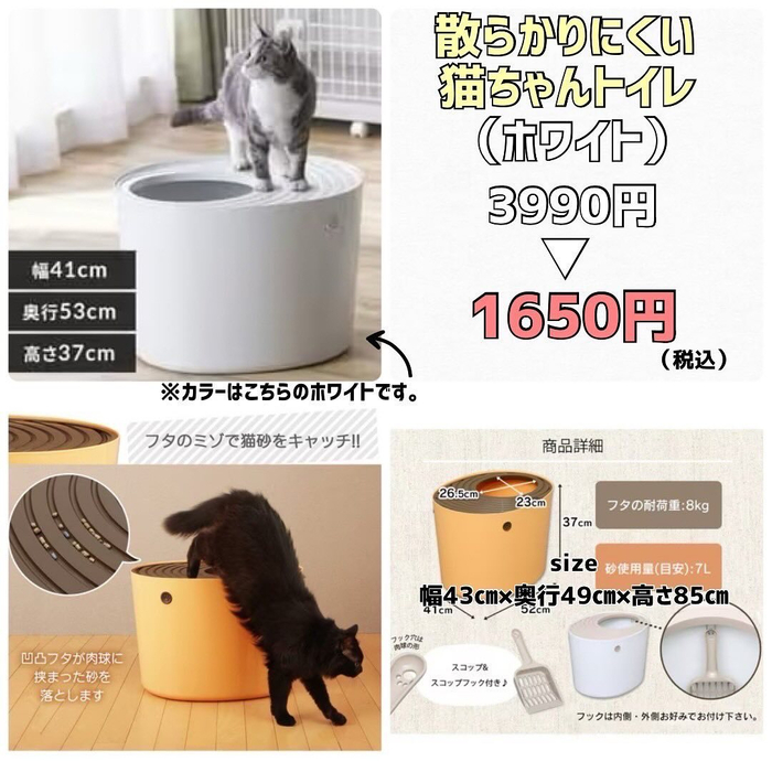 画像4606