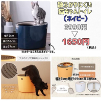 画像4607