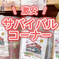 画像4643