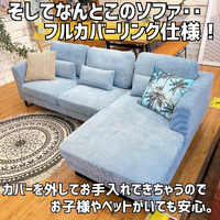 画像4711