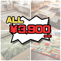 画像4748