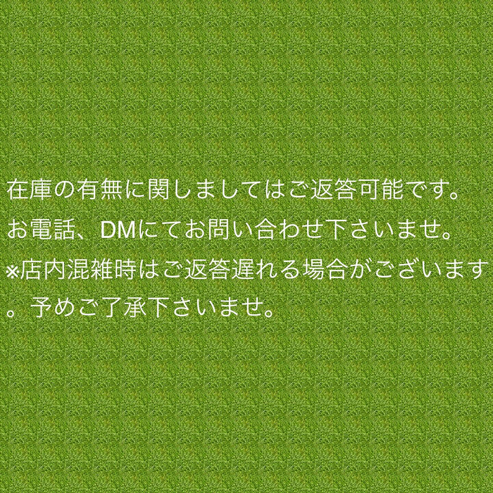 画像4772