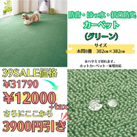 画像4827
