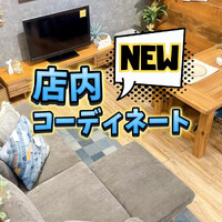 画像4901