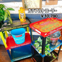 画像4982