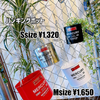 画像4992