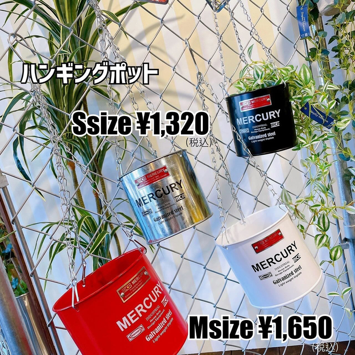 画像4992