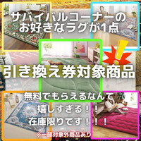画像5041