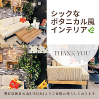 画像5302