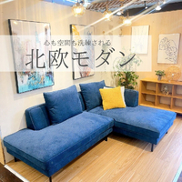 画像5317