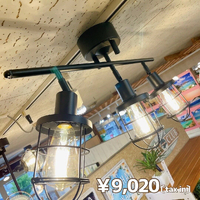 画像5416