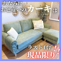 画像546