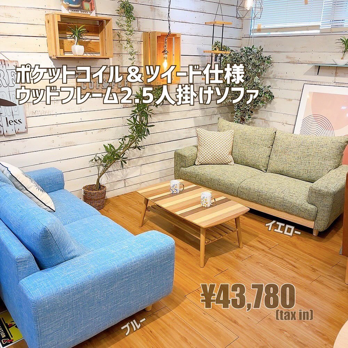 画像5474