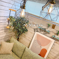 画像5478