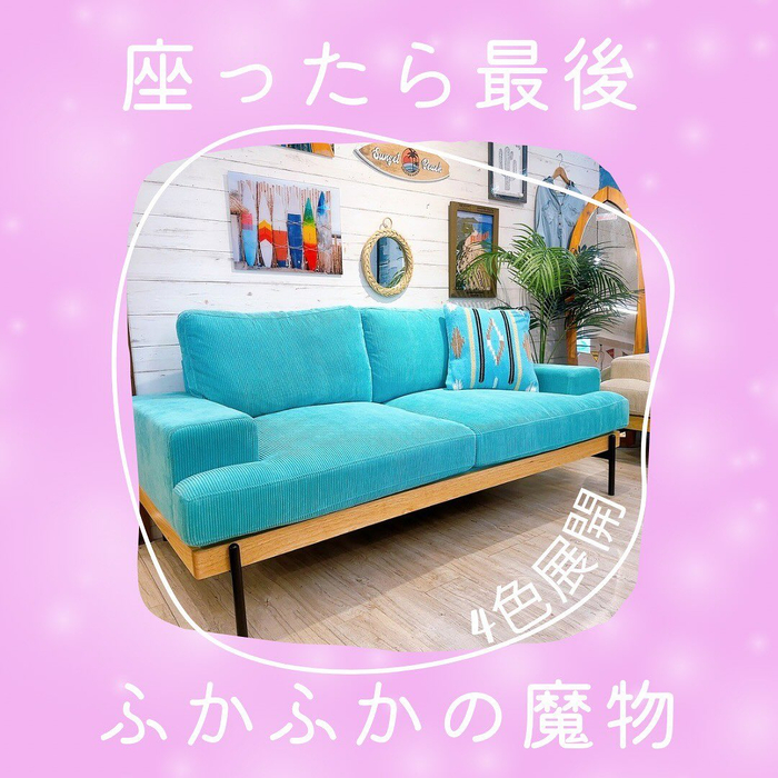 画像5493