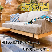 画像5498