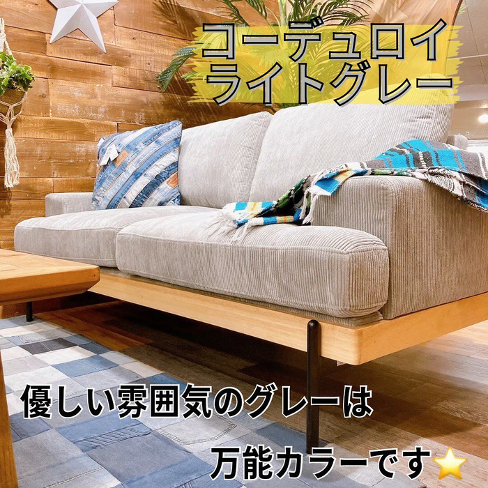 画像5498