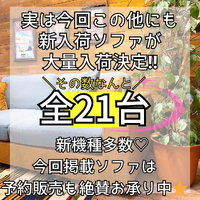 画像5530